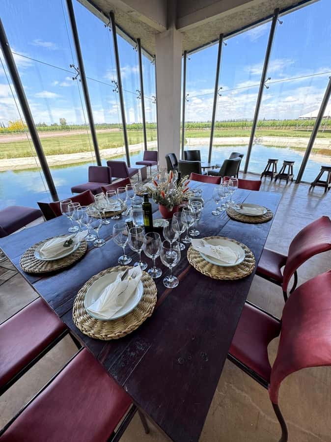 Tour of 3 wineries in Maipú with lunch + olive groves - Language, walking, and accessibility