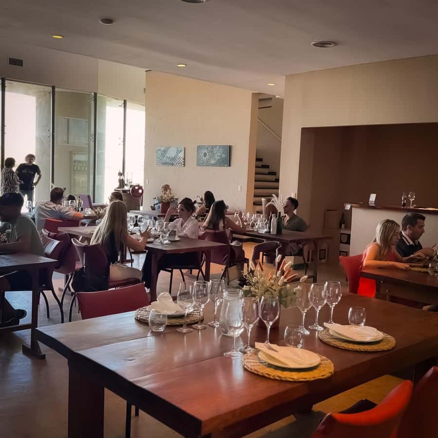 Tour of 3 wineries in Maipú with lunch + olive groves - Who will get the most from this outing