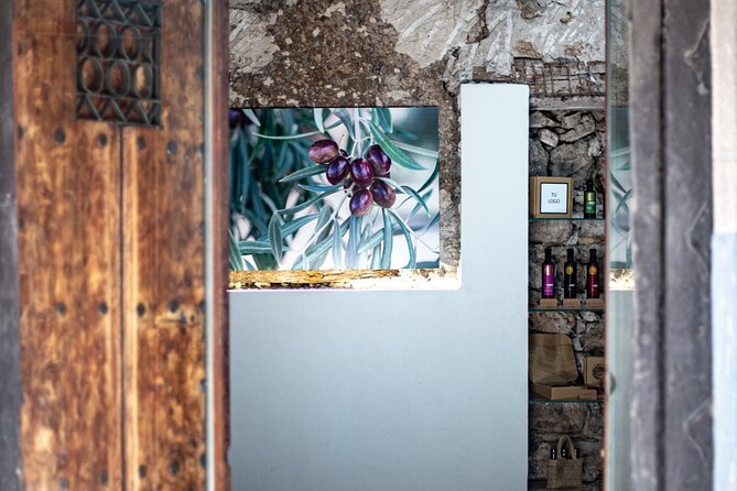 Tour of Olive Grove and Oil Mills with Oil Tasting - The Olearum tasting room in Cazorla’s historic center
