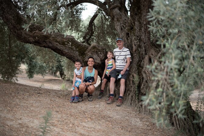 Tour of Olive Grove and Oil Mills with Oil Tasting - Antonio’s role in making the visit work