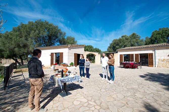 Tour to olive grove and olive mill, oil tasting and snack - Is $59.64 a fair price?
