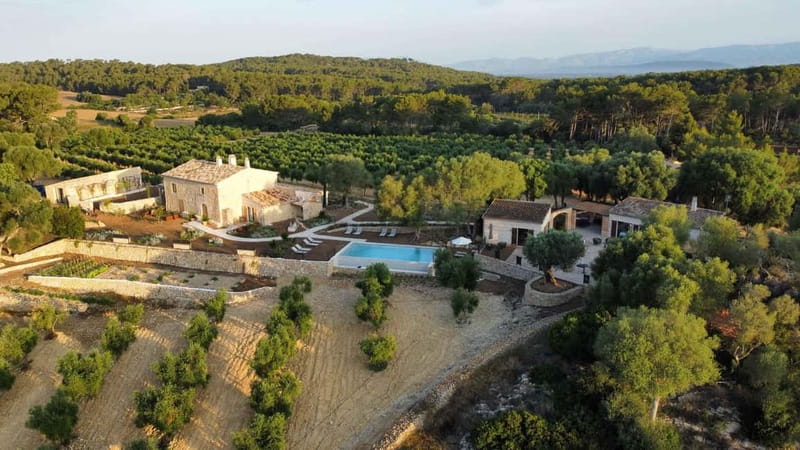 Treurer: Olive Oil Night. Gastronomic experience - Key Points at a Glance