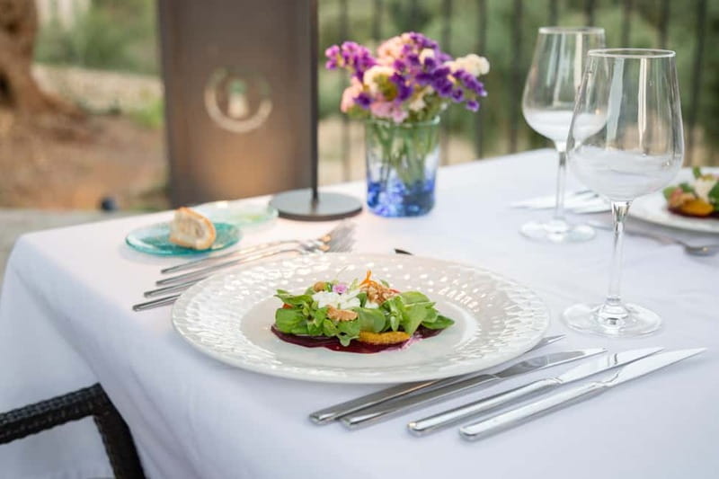 Treurer: Olive Oil Night. Gastronomic experience - Booking Tips for a Smoother Visit