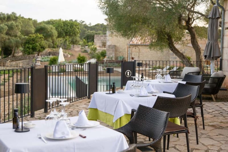 Treurer: Olive Oil Night. Gastronomic experience - Why This Olive Oil Experience Feels Different