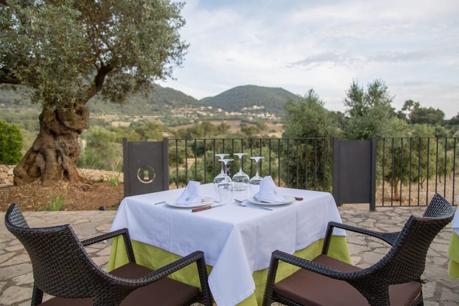 Treurer: Tapas Gourmet and Extra Virgin Olive Oil - What the price includes, and what it does not
