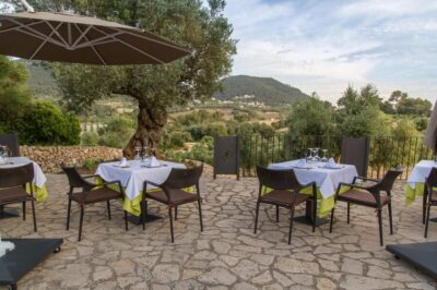 Treurer: Tapas Gourmet and Extra Virgin Olive Oil