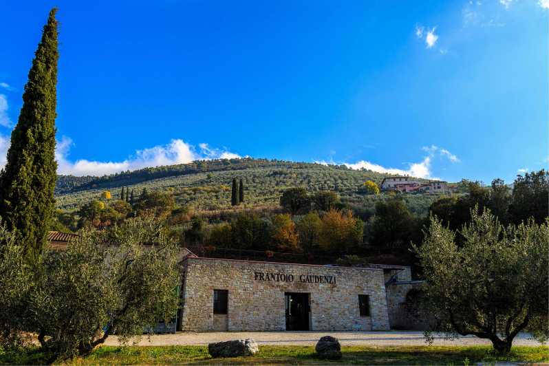 Trevi: Guided tour and tasting at Frantoio Gaudenzi - Why this Trevi mill visit is worth your time