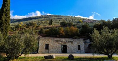 Trevi: Guided tour and tasting at Frantoio Gaudenzi