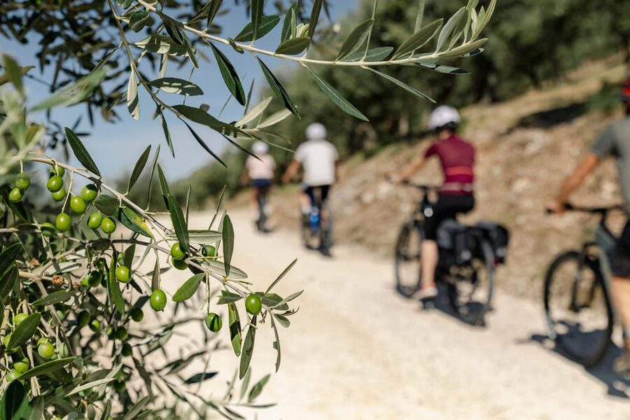 Umbria: E-Bike Rental and Fresh EV Olive Oil Tasting - Why this ride is different from a standard bike rental
