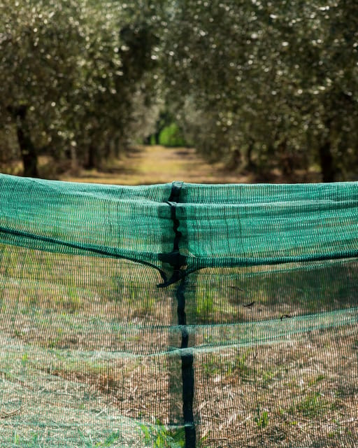 Umbria: E-Bike Rental and Fresh EV Olive Oil Tasting - FAQ