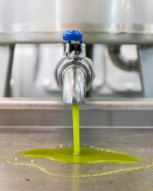 Umbria: E-Bike Rental and Fresh EV Olive Oil Tasting - Should you book the Umbria e-bike and olive oil day?