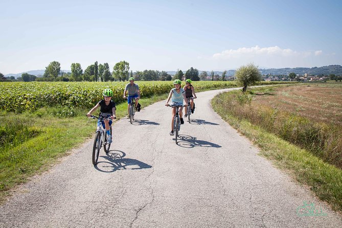 Umbria E-Bike & Wine Tour through Vineyards and Olive Groves - The Assisi-Spoleto greenway toward Cannara