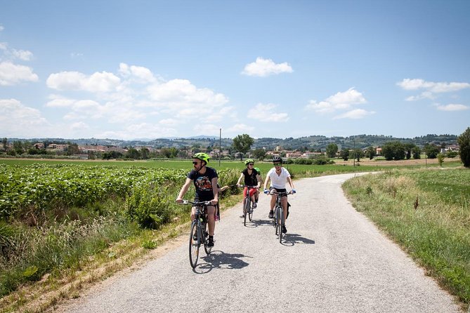 Umbria E-Bike & Wine Tour through Vineyards and Olive Groves - Cantina La Fonte: the food and wine centerpiece