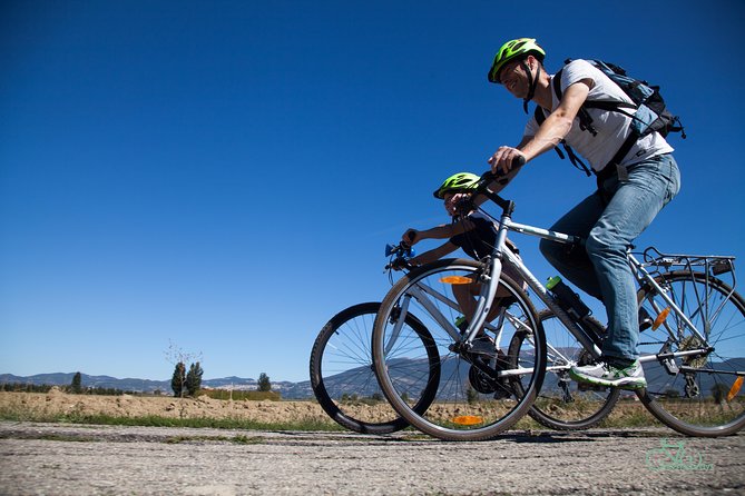Umbria E-Bike & Wine Tour through Vineyards and Olive Groves - Who should book this ride?