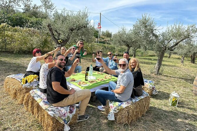 Umbria: Guided tour to Traditional Olive Oil Mill and Tasting - Key points to know before booking