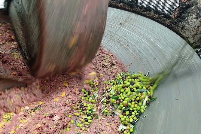 Umbria: Guided tour to Traditional Olive Oil Mill and Tasting - Inside a traditional Umbrian olive mill