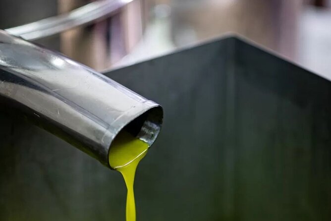 Umbria: Guided tour to Traditional Olive Oil Mill and Tasting - The tasting: bruschetta, garlic, wine, and water