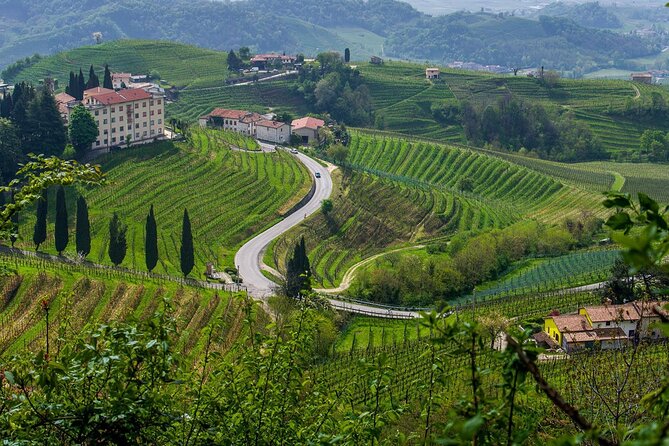 Valpolicella Wine and Olive Oil Tasting with Lunch from Verona - A short trip into Lessinia