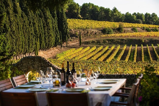 Valpolicella Wine and Olive Oil Tasting with Lunch from Verona - Timing, pickup, and booking details