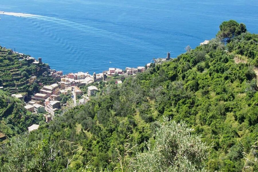 Vernazza (5 Terre): olive grove tour and oil and wine tasting - The uphill path and Cinque Terre terraces