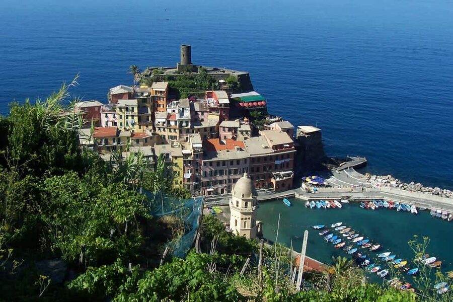 Vernazza (5 Terre): olive grove tour and oil and wine tasting - Inside the restored olive grove