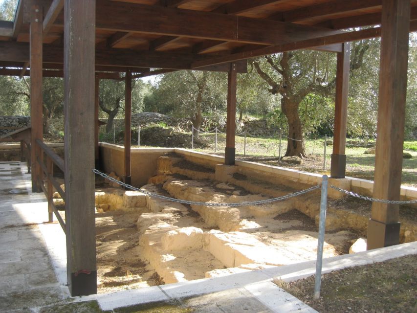 Villa Castelli: Highlights Walking Tour w/ Olive Oil Tasting - Inside a four-generation olive oil factory