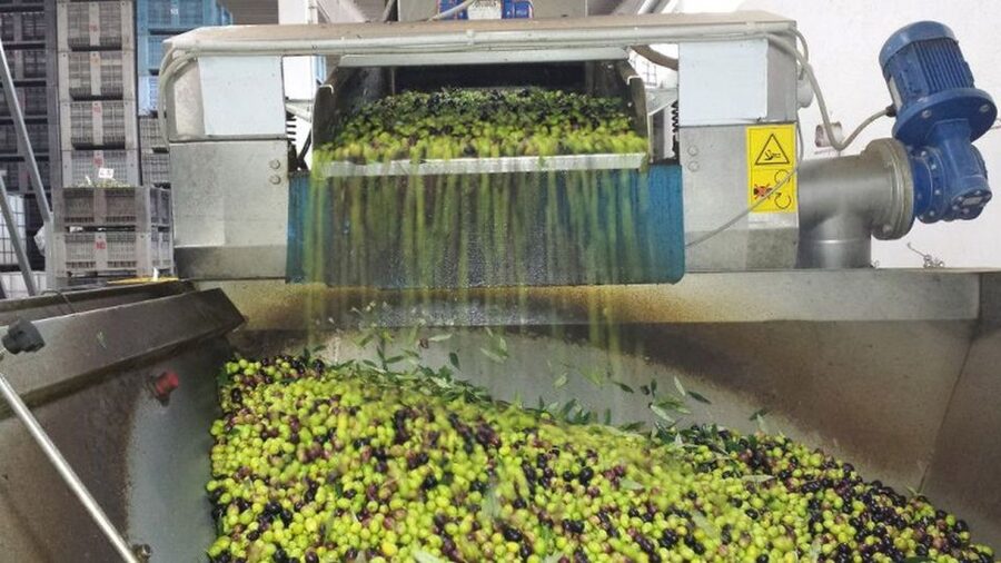 Villa Castelli: Highlights Walking Tour w/ Olive Oil Tasting - The guide makes the difference
