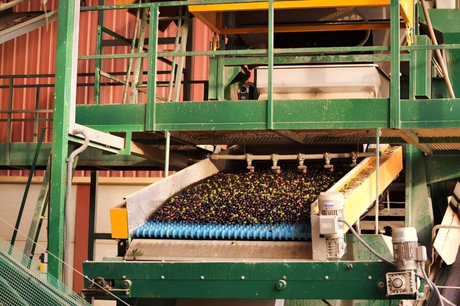 Visit an almazara + extra virgin olive oil tasting: Baeza - Why Baeza is the right place to learn about olive oil
