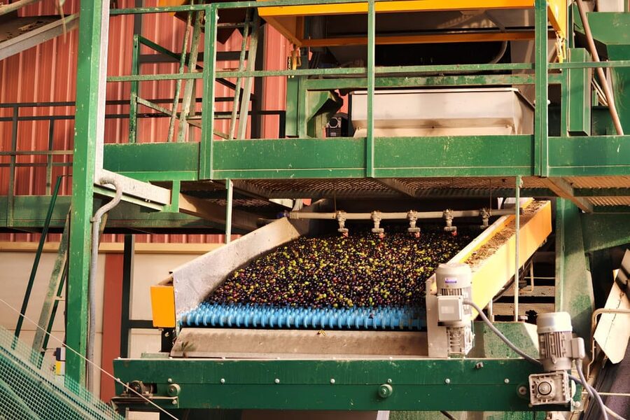 Visit an almazara + extra virgin olive oil tasting: Baeza - From arriving olives to finished oil