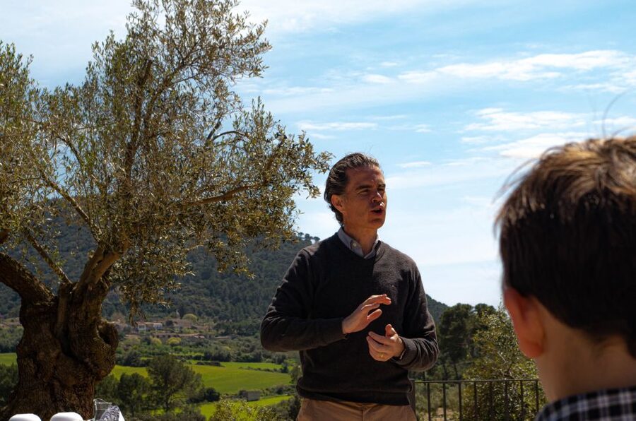 Visit of the olive grove, olive oil tasting and snack - Key points to know before you book