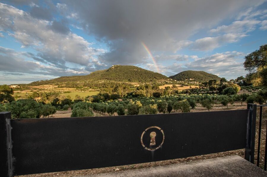 Visit of the olive grove, olive oil tasting and snack - Inside the mill: the 50-minute production tour