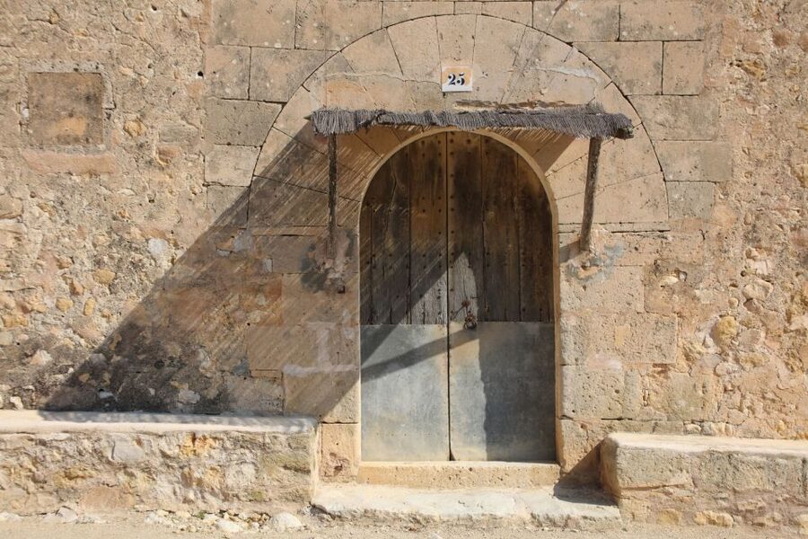 Visit of the olive grove, olive oil tasting and snack - A 10-minute walk through the olive grove