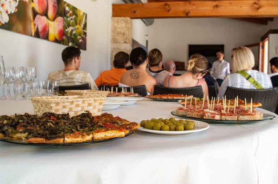 Visit of the olive grove, olive oil tasting and snack - Is $58 a fair price?