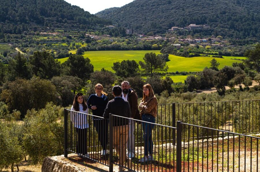 Visit of the olive grove, olive oil tasting and snack - Who will enjoy Finca Treurer most?