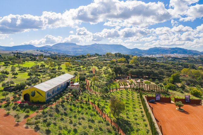 Visit Oil Mill Museum and Olive Oil Tasting in Ronda - Key points to know before booking