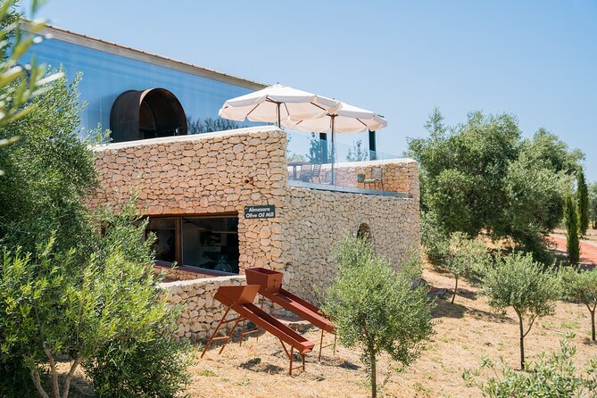 Visit Oil Mill Museum and Olive Oil Tasting in Ronda - Walking through organic olive groves and vineyards