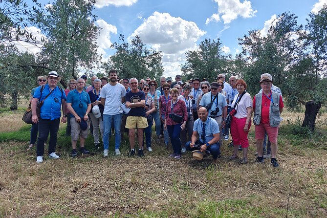 Visit to Family Ecological Olive Tree and Olive Oil Tasting - Timing, transport, and group size near Córdoba