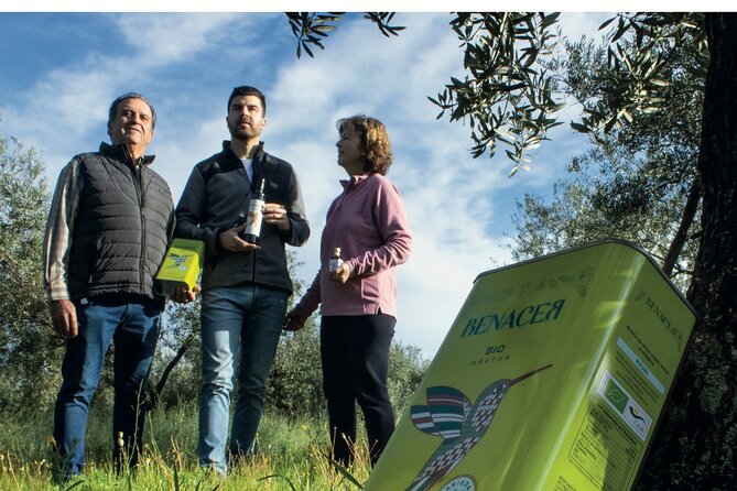 Visit to Family Ecological Olive Tree and Olive Oil Tasting - Weather, cancellations, and booking ahead