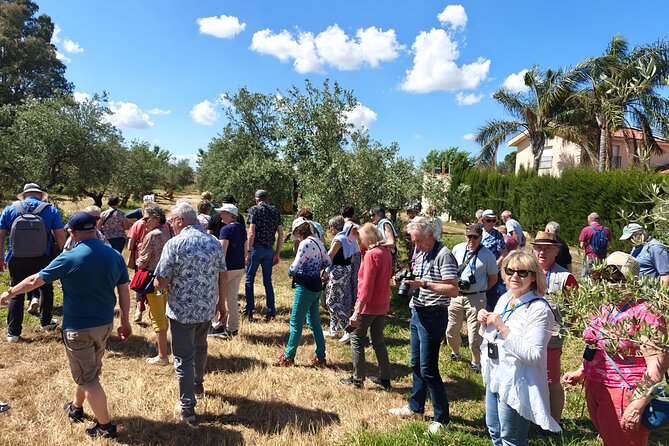 Visit to Family Ecological Olive Tree and Olive Oil Tasting - What happens during the 90-minute visit