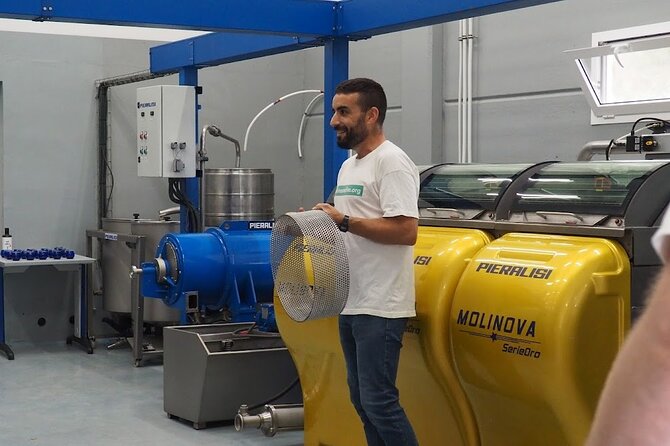 Visit to olive grove and olive mill with oil tasting and tasting - Why Oliete makes this olive-oil visit different
