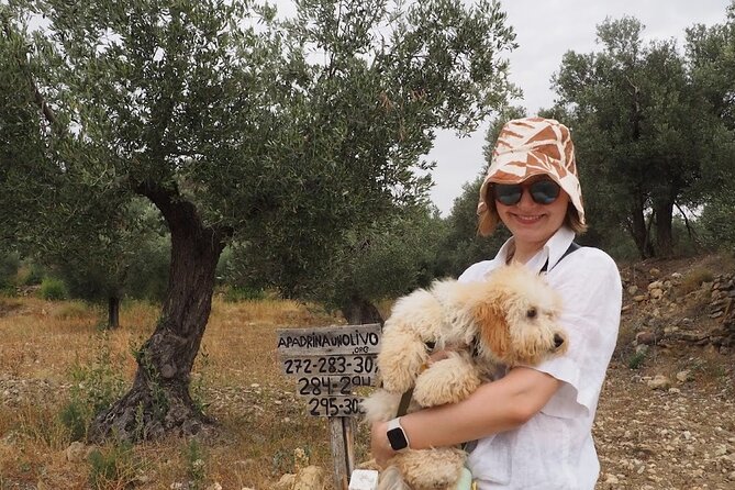 Visit to olive grove and olive mill with oil tasting and tasting - Tasting two oils with a trained palate