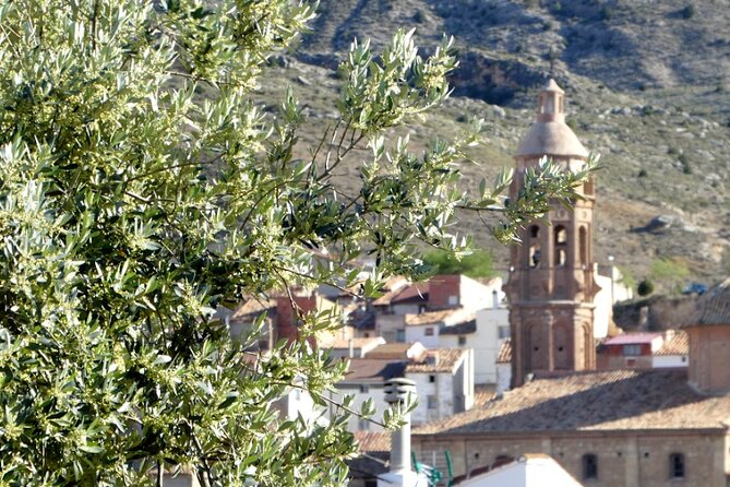 Visit to olive grove and olive mill with oil tasting and tasting - Planning your arrival in Oliete