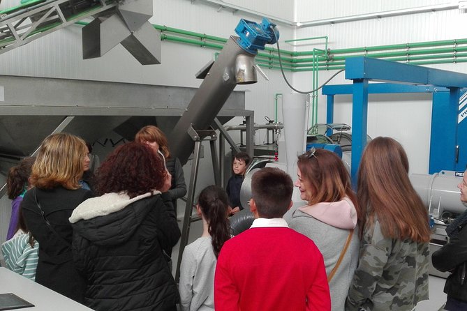 Visit to the oil mill with EVOO experiences in Cuenca - Is $20.37 a fair price?