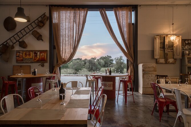 Visit to the olive grove, oil tasting and lunch at the farm - Key points at a glance