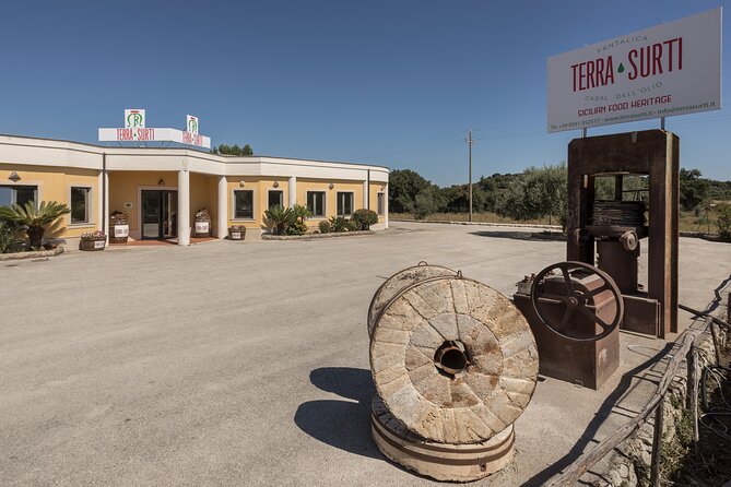 Visit to the olive grove, oil tasting and lunch at the farm - Group size, language, and accessibility