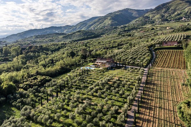 Wine and olive oil tasting & farm tour - Key points to know before booking