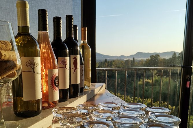 Wine and olive oil tasting & farm tour - Leaving Lucca for Colle di Bordocheo