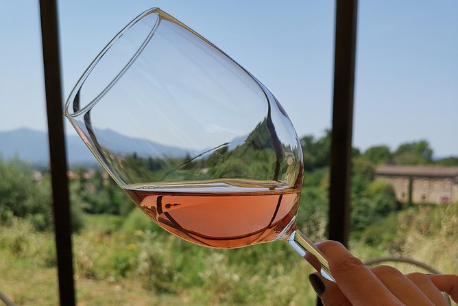 Wine and olive oil tasting & farm tour - Timing, group size, and the pace of the visit