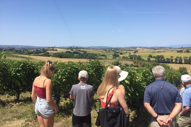 Wine and olive oil tastings with the locals - A Private Start From Arezzo at 9:30 am