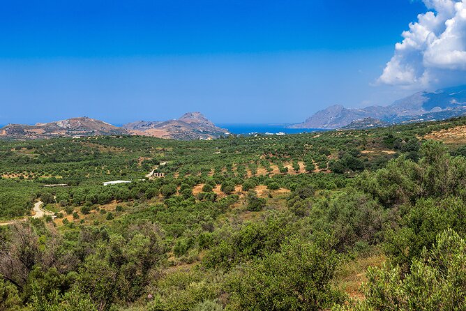 Wine, Beer, Olive Oil Tasting Private Tour (price per group of 6) - Gonia Monastery and a quieter final stop